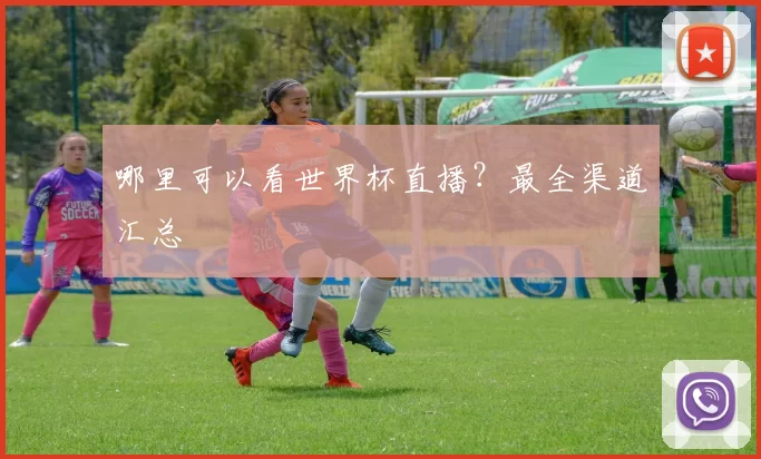 哪里可以看世界杯直播？最全渠道汇总