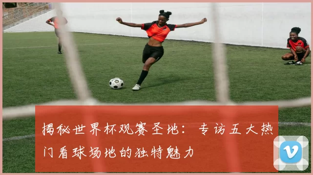 揭秘世界杯观赛圣地：专访五大热门看球场地的独特魅力