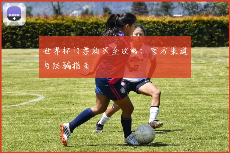 世界杯门票购买全攻略：官方渠道与防骗指南