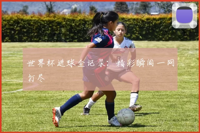 世界杯进球全记录:精彩瞬间一网打尽
