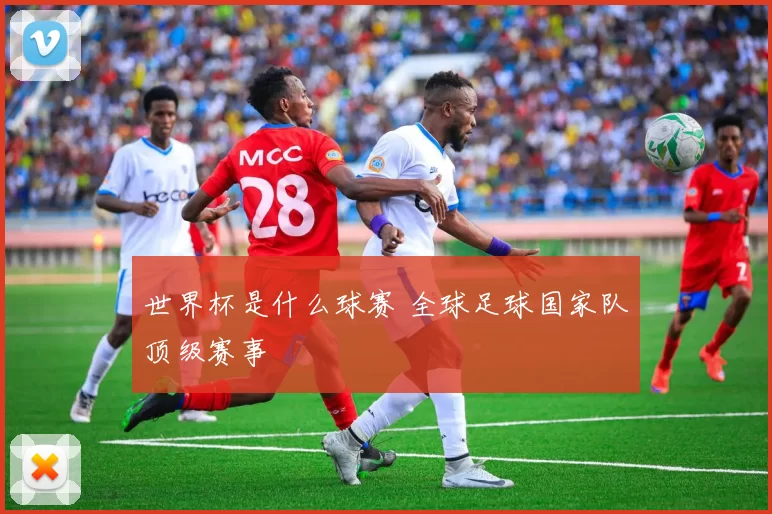 世界杯是什么球赛 全球足球国家队顶级赛事