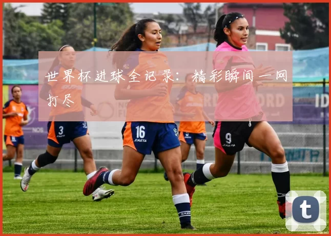 世界杯进球全记录：精彩瞬间一网打尽