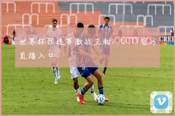 世界杯预选赛激战正酣，CCTV官方直播入口