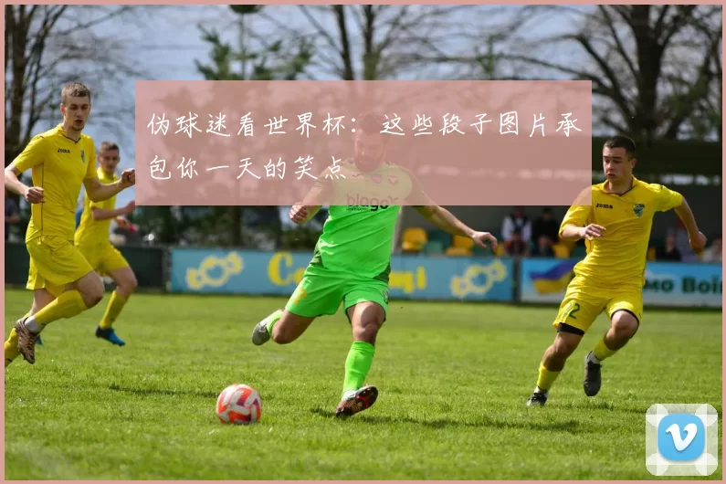 伪球迷看世界杯：这些段子图片承包你一天的笑点