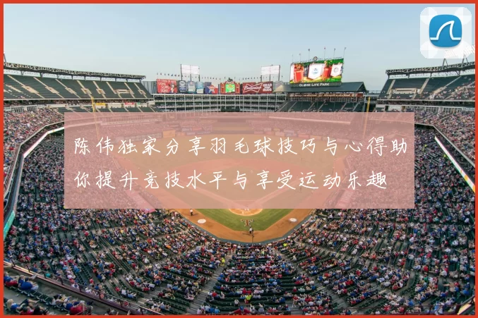陈伟独家分享羽毛球技巧与心得助你提升竞技水平与享受运动乐趣
