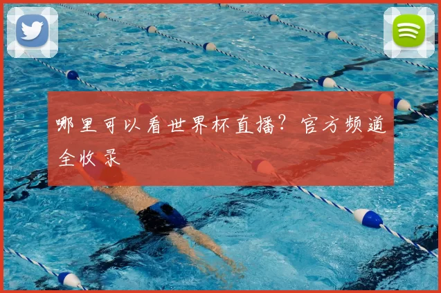 哪里可以看世界杯直播？官方频道全收录