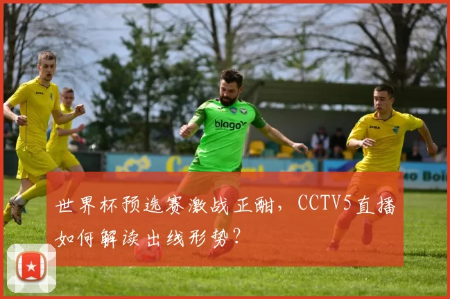 世界杯预选赛激战正酣，CCTV5直播如何解读出线形势？