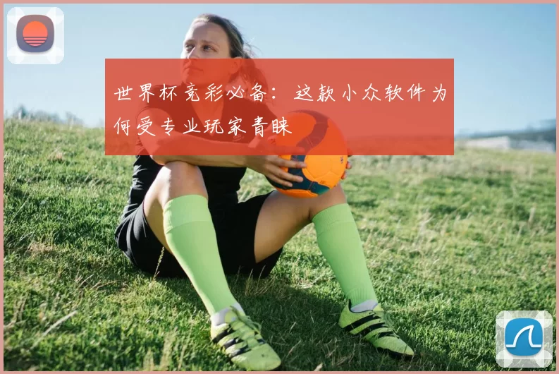 世界杯竞彩必备：这款小众软件为何受专业玩家青睐