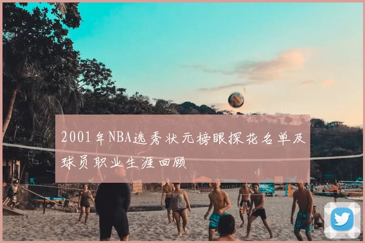2001年NBA选秀状元榜眼探花名单及球员职业生涯回顾
