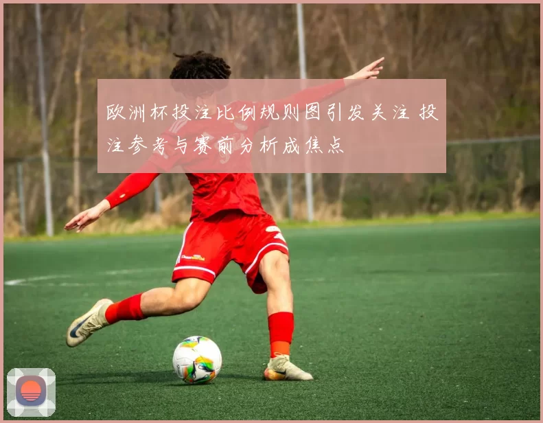 欧洲杯投注比例规则图引发关注 投注参考与赛前分析成焦点