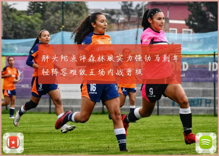 胖头陀点评森林狼实力强劲马刺年轻阵容难敌五场内战晋级
