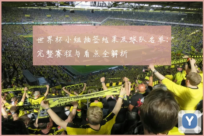 世界杯小组抽签结果及球队名单：完整赛程与看点全解析