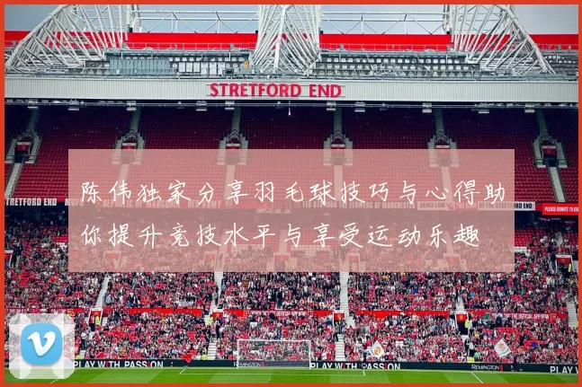 陈伟独家分享羽毛球技巧与心得助你提升竞技水平与享受运动乐趣