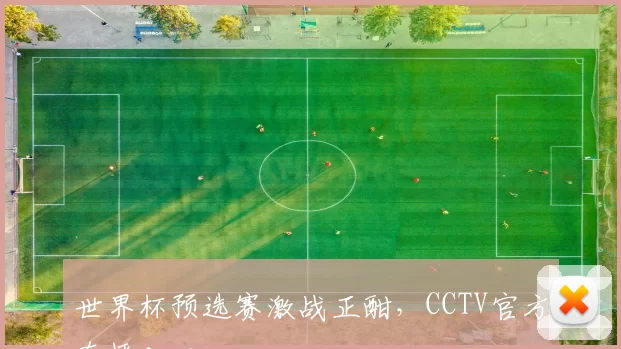 世界杯预选赛激战正酣，CCTV官方直播入口